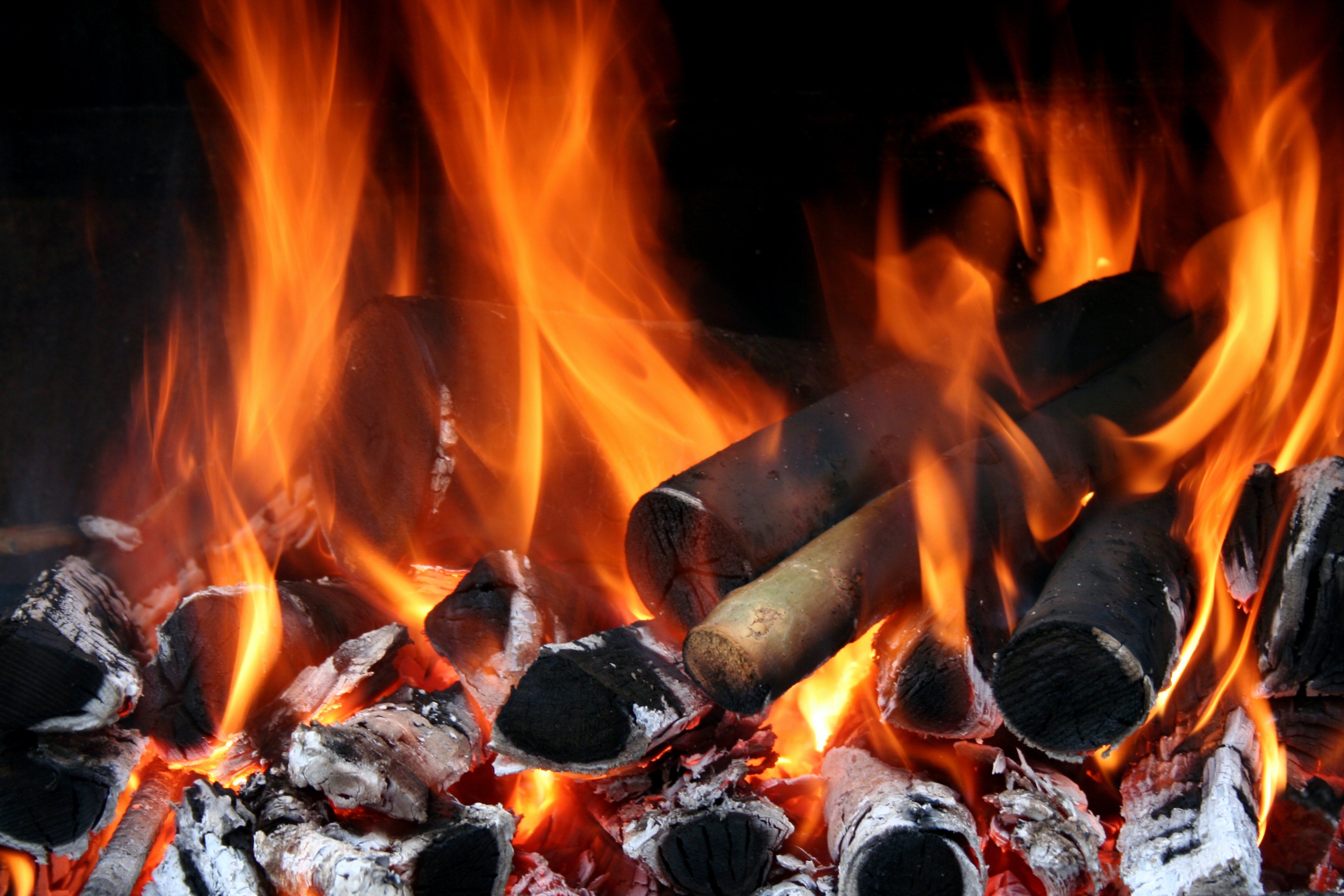 Housefuel - Blogs | What is the Best Smokeless Fuel for Multi-Fuel Stoves
